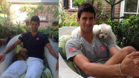 DJOKOVIC_pets_ATP