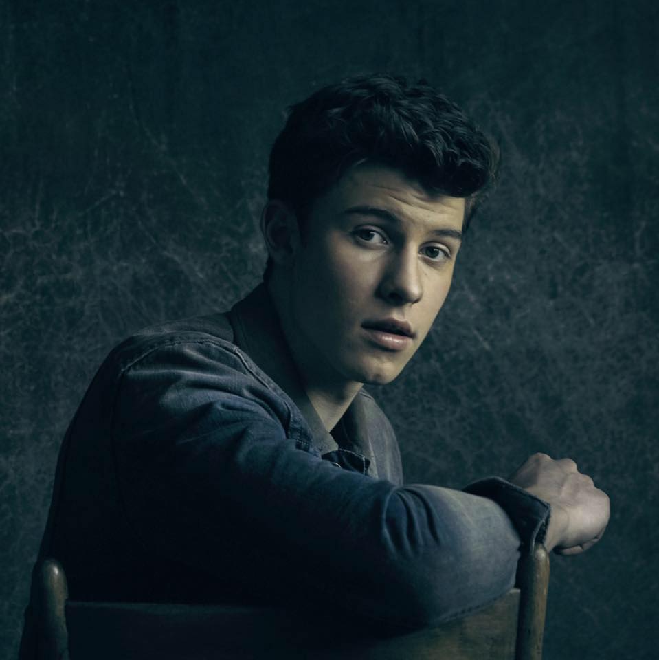 Celebrities Wish Shawn Mendes A Happy Birthday On Twitter | Billboard, image size:959x960